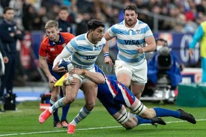 ELLITORAL_417671 |  Archivo Los Pumas vienen de perder ante Francia.