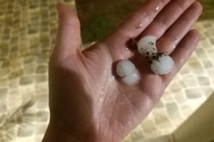 ELLITORAL_416890 |  Gentileza