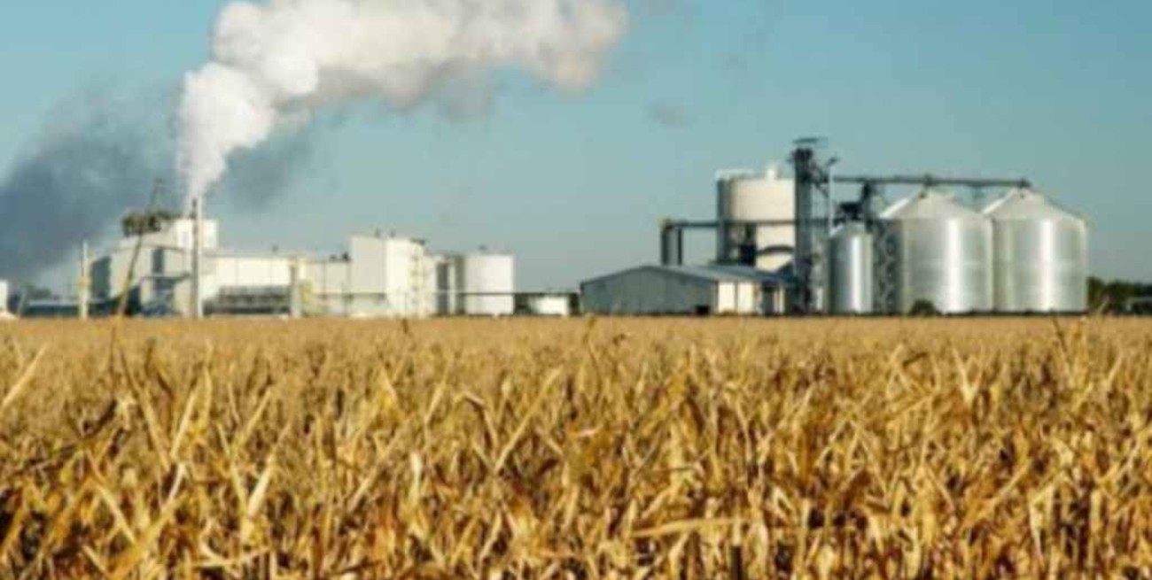 Córdoba y Santa Fe conforman mesa técnica para fomentar la producción de biocombustibles