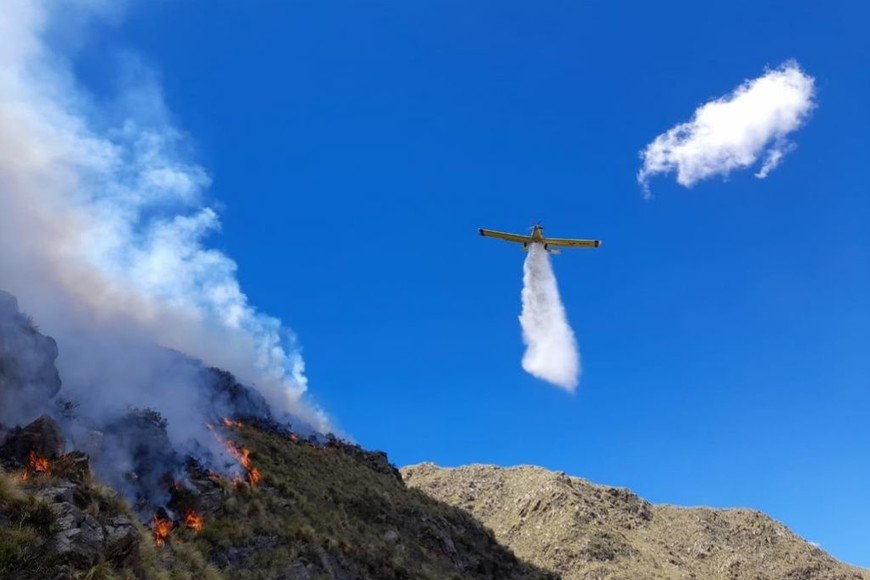 ELLITORAL_411640 |  Gentileza