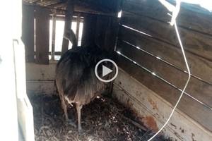 ELLITORAL_438698 |  Gentileza D.R