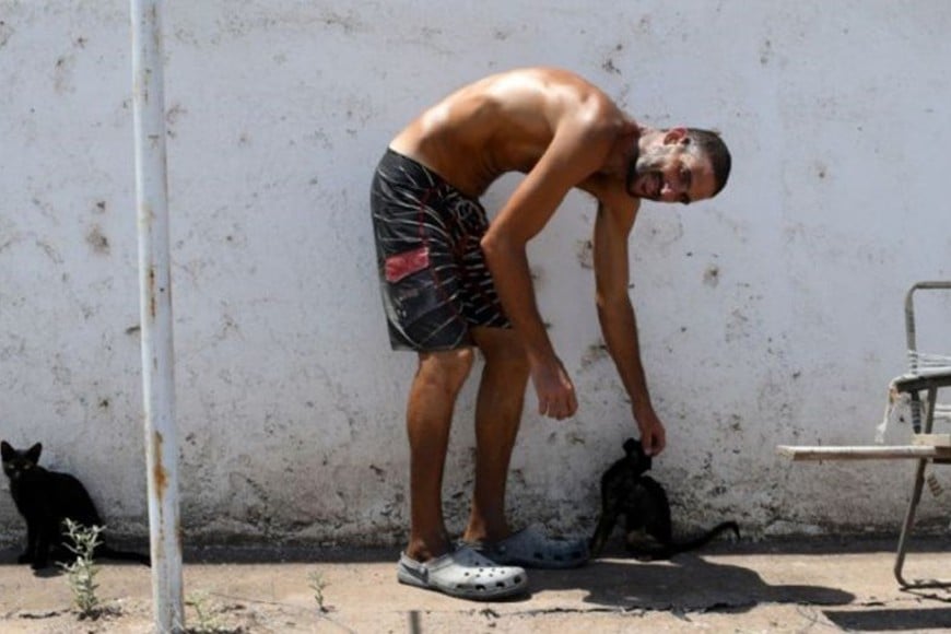 ELLITORAL_413336 |  Gentileza