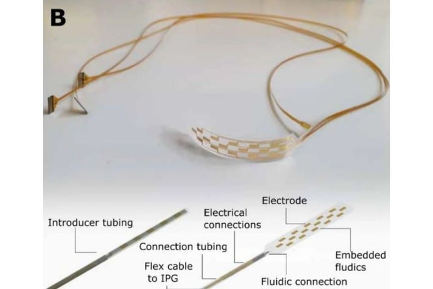 ELLITORAL_389809 | Gentileza