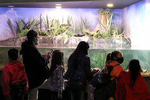 ELLITORAL_400501 |  Gentileza