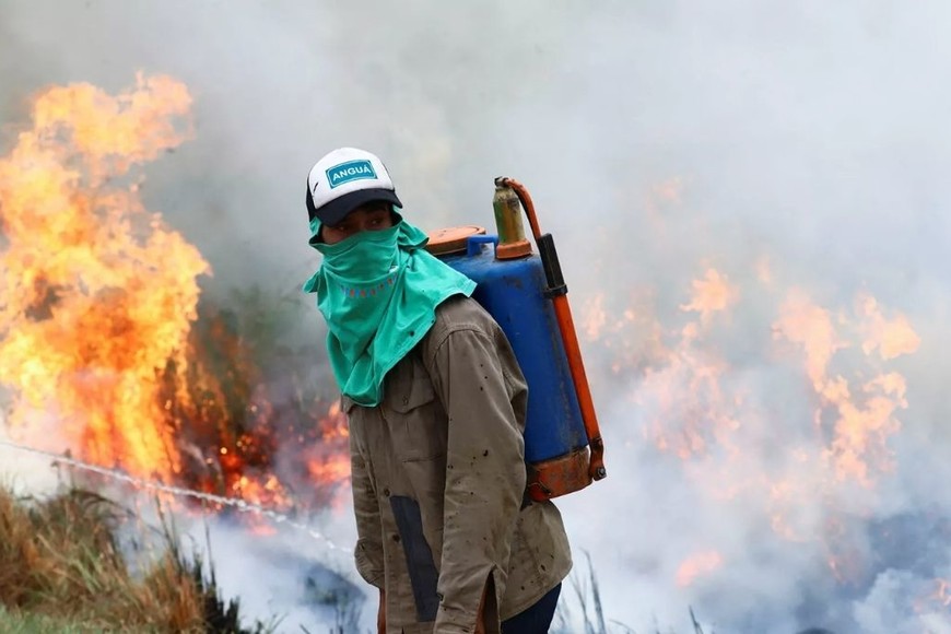 ELLITORAL_439715 |  Reuters D.R