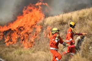 ELLITORAL_331141 |  Gentileza