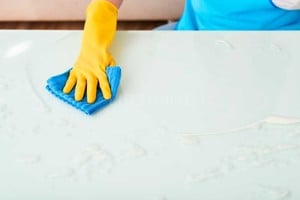 ELLITORAL_378092 |  El Litoral