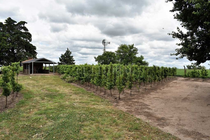 ELLITORAL_348180 |  El Litoral