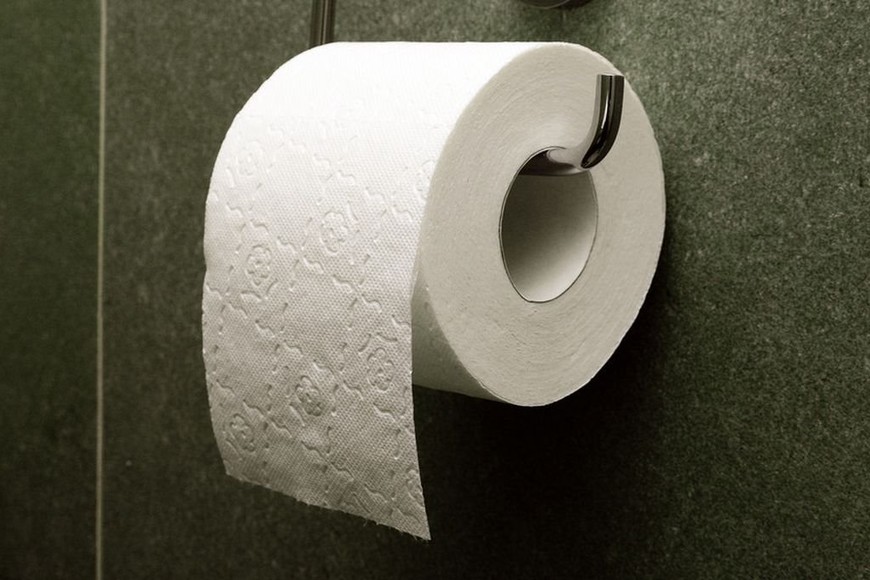 El papel higiénico usado, ¿se debe tirar en la taza del inodoro o en el  tacho de basura? - El Litoral