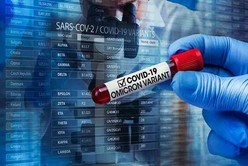 La variante Ómicron plantea nuevos desafíos en el combate al coronavirus en el mundo