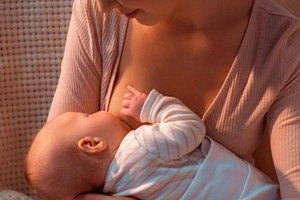 ELLITORAL_394990 |  Gentileza