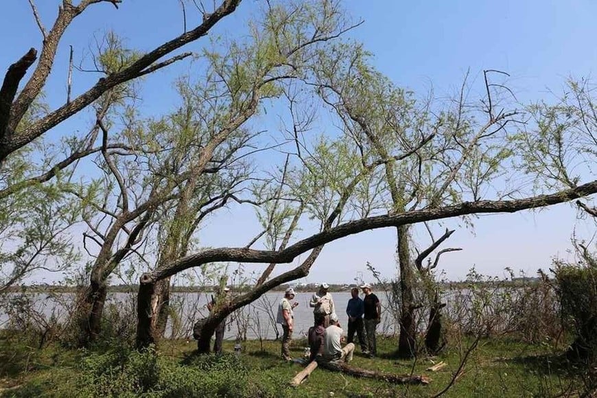 ELLITORAL_223876 |  Gentileza RIBEX - World Wide Expeditions Las islas del Delta del Paraná fueron una parada obligada para descansar, comer y disfrutar de la naturaleza.