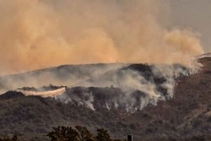 ELLITORAL_391445 |  Gentileza