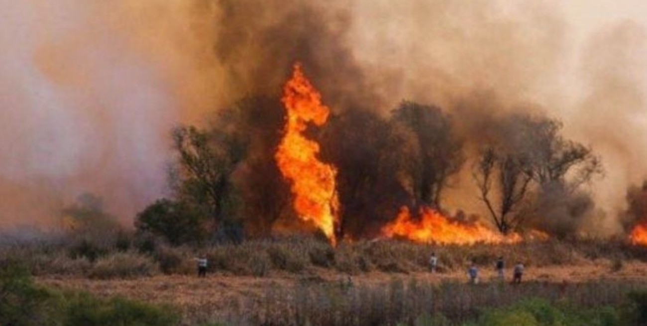 Se registraron focos activos de incendios en Córdoba, Entre Ríos y Santa Fe