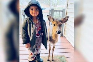 ELLITORAL_354460 |  Facebook