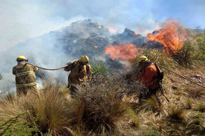 ELLITORAL_327492 |  Imagen ilustrativa