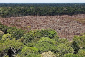 ELLITORAL_337606 |  Archivo El Litoral