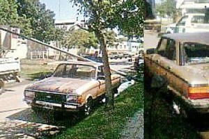 ELLITORAL_13193 |  Carmelo, vecino de barrio Centenario La columna cayó sobre el techo y baul del Ford Falcon