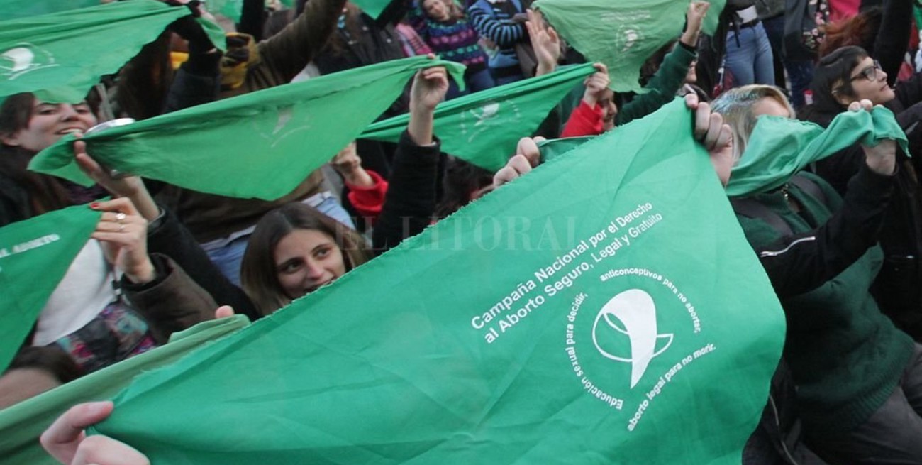 Denuncian ante la CIDH las trabas para que una nena violada acceda a un aborto legal