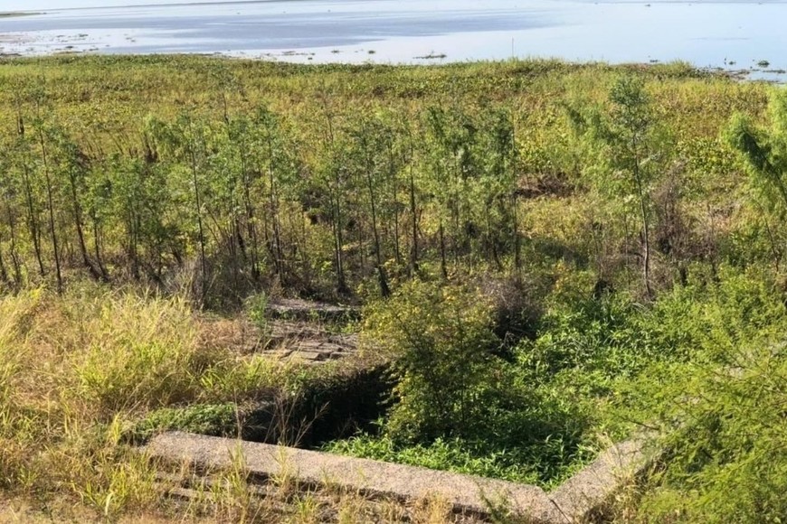 ELLITORAL_398299 |  Gentileza