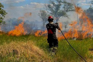 ELLITORAL_439223 |  Imagen Ilustrativa Incendios en los Esteros del Iberá, Corrientes.