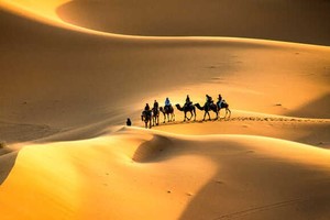 ELLITORAL_379245 |  Captura de pantalla