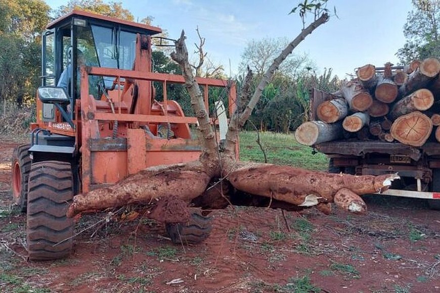 ELLITORAL_406946 |  Captura de pantalla