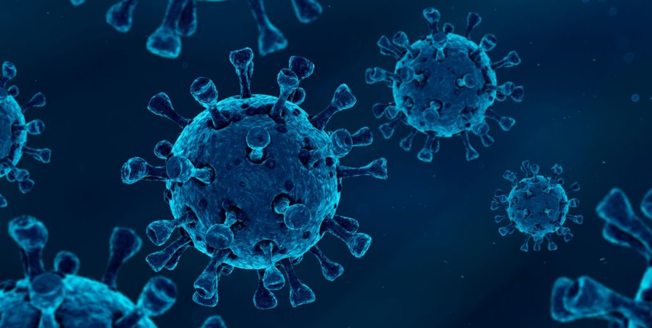 Coronavirus: ahora la OMS advierte que Ómicron no debe ser considerada "leve"