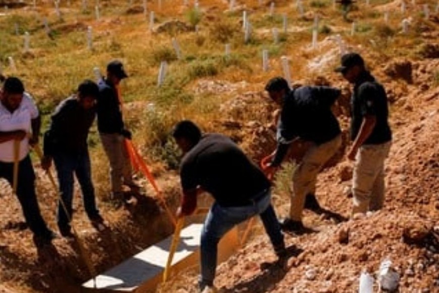 ELLITORAL_410794 |  Gentileza