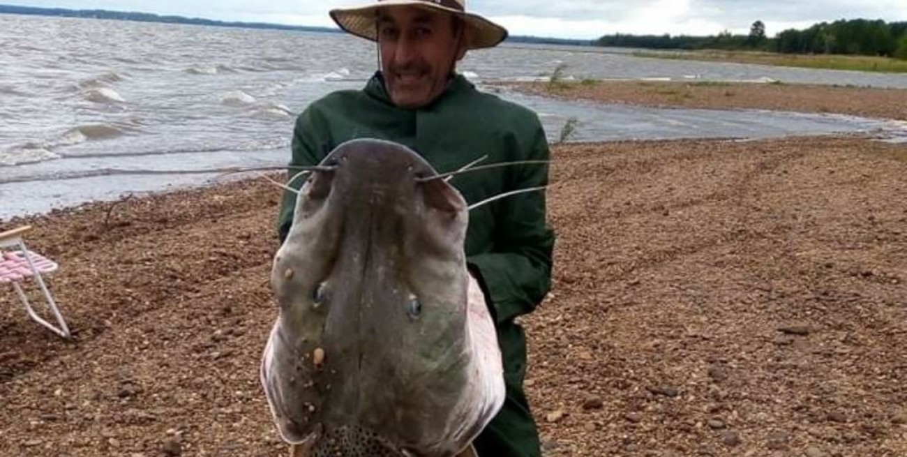 Pescaron un surubí de 52 kilos en una reserva natural de Federación y no lo devolvieron