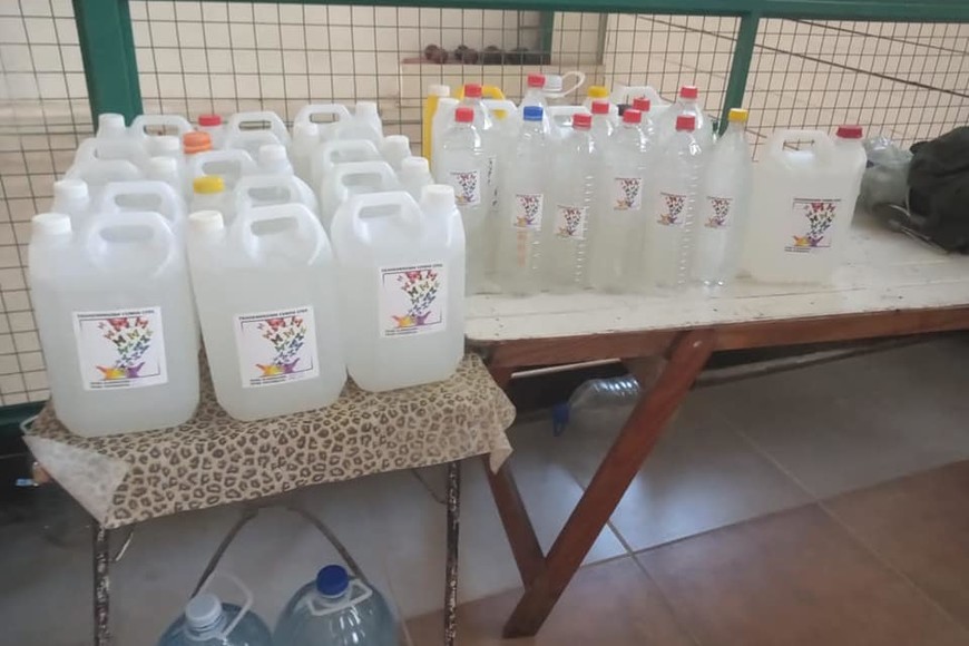 ELLITORAL_372581 |  Gentileza