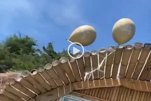 ELLITORAL_437515 |  Captura de video D.R