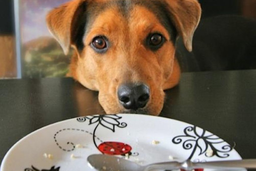 ELLITORAL_427027 | Gentileza D.R