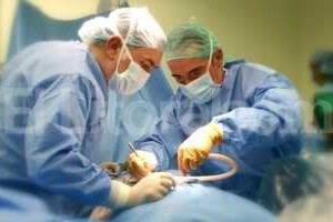 ELLITORAL_122768 |  Gentileza Secretaría de Comunicación Social Santa Fe se destaca por la cantidad de donaciones