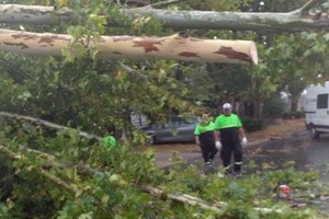 ELLITORAL_428337 |  Captura D.R