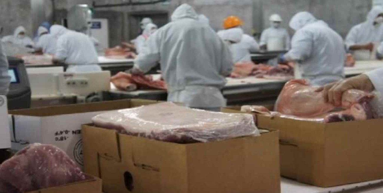 Mejora la exportación de carne de cerdo