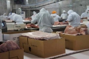 ELLITORAL_370489 |  Gentileza