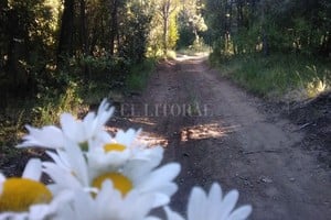 ELLITORAL_427437 |  Gentileza Bárbara Korol D.R