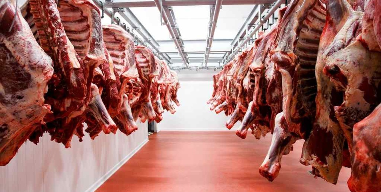 Carne: aumentan las exportaciones, cae el consumo interno   