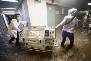 ELLITORAL_388232 |  Gentileza