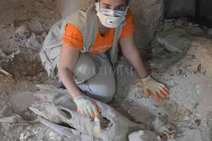 ELLITORAL_375710 |  El Litoral