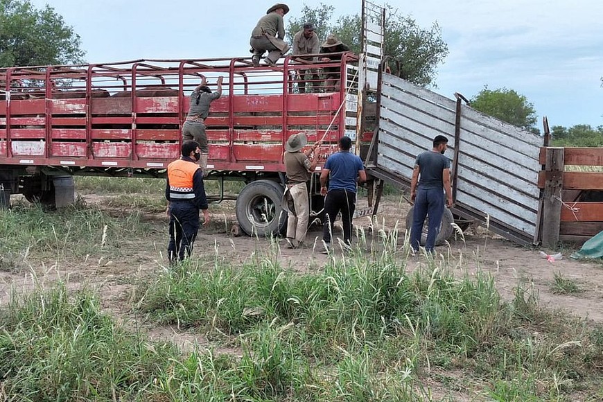 ELLITORAL_427675 | D.R