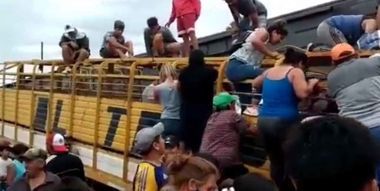 Video: un tren chocó a un camión con ganado y los vecinos faenaron a los animales en plena calle