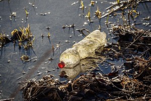 ELLITORAL_435405 |  Imagen ilustrativa / Captura digital No hay duda de que la contaminación plástica es uno de los factores de estrés más importantes en el medio ambiente y su concentración está aumentando a un ritmo preocupante , remarcó Blettler.