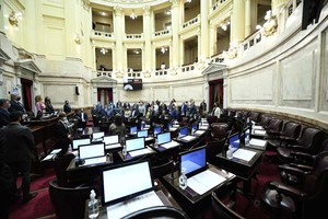 ELLITORAL_423239 |  Gentileza Prensa Senado de la Nación D.R