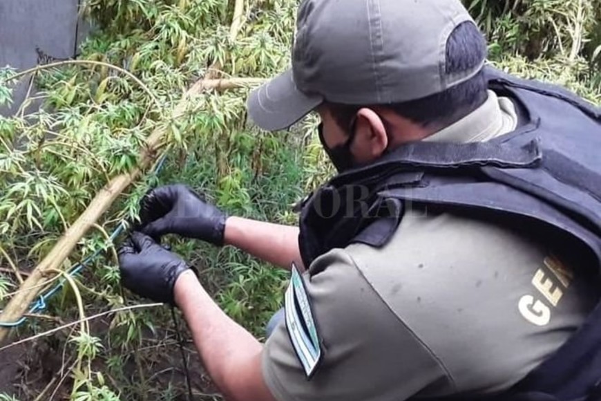 ELLITORAL_368801 |  Agencia