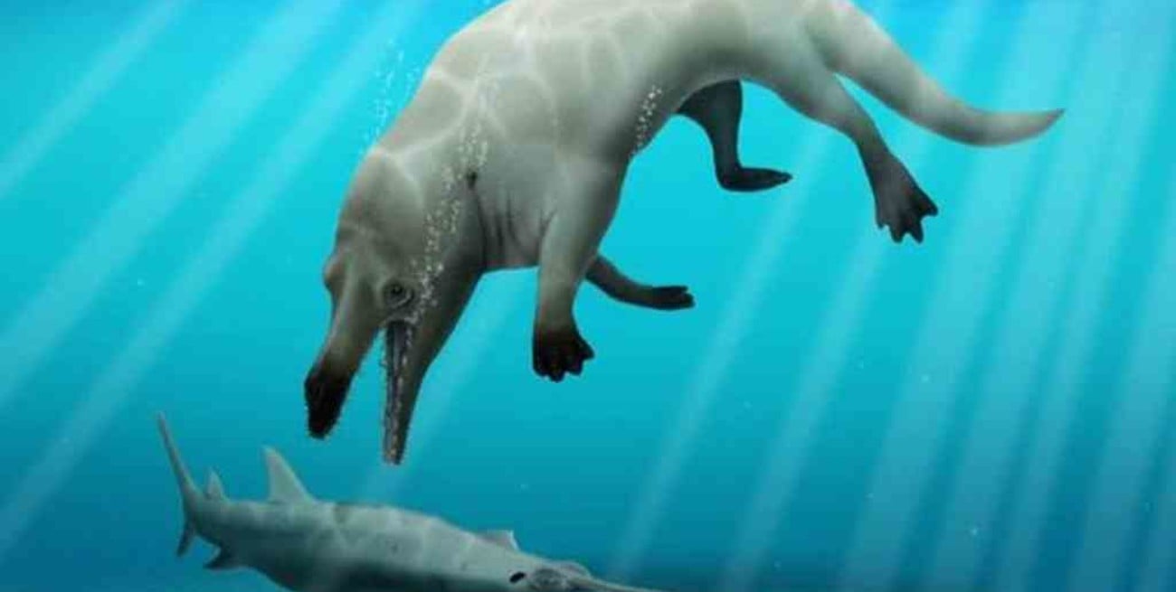 Una prehistórica ballena con patas recibió el nombre del dios egipcio de la muerte