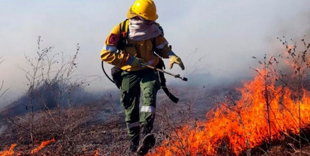 Cinco provincias reportan incendios forestales