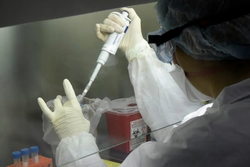 ELLITORAL_422161 |  Gentileza D.R