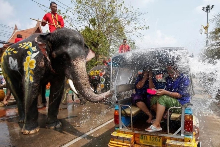 ELLITORAL_428187 |  Gentileza D.R